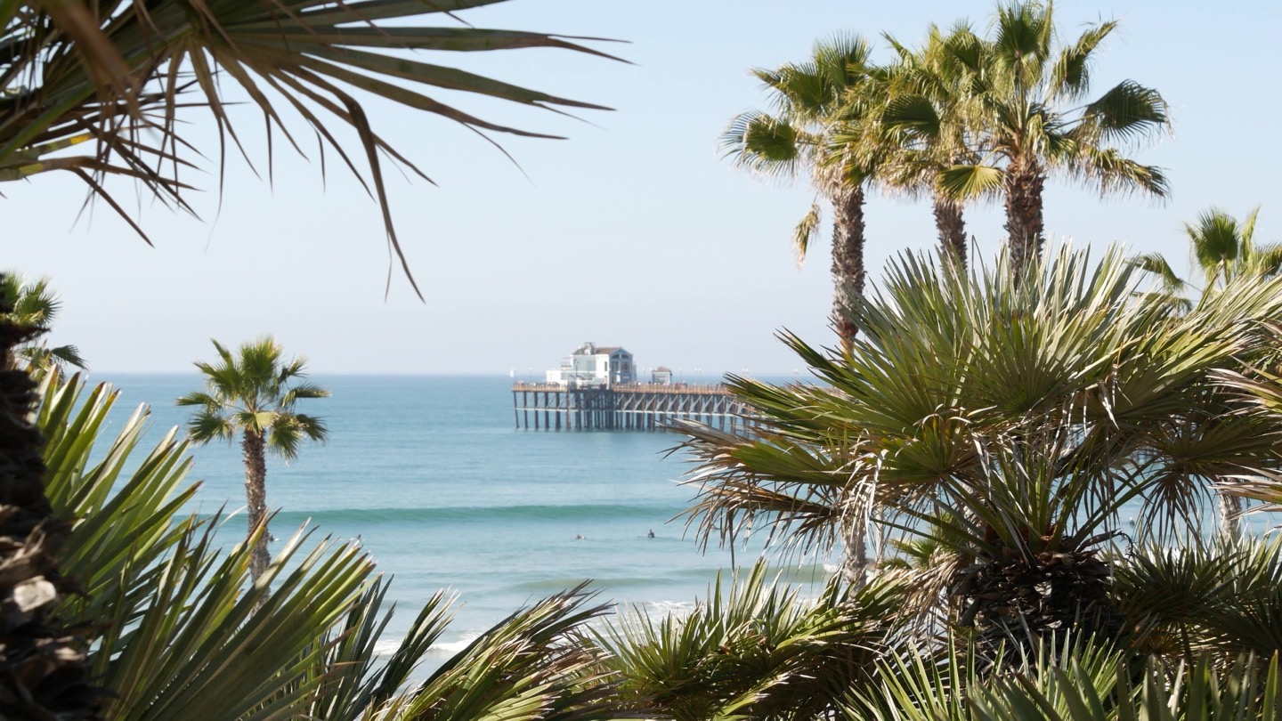 Oceanside Pier through the palms, surf rolling in below the bluff
