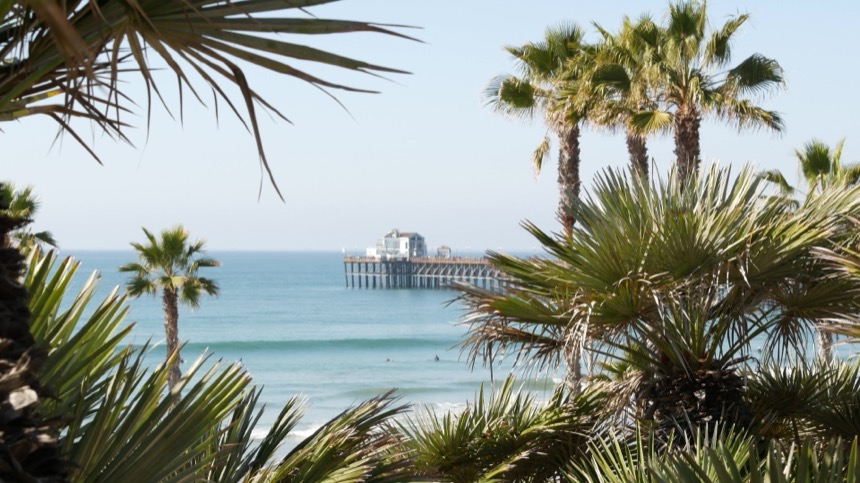 Oceanside Pier seen through palms from the bluff